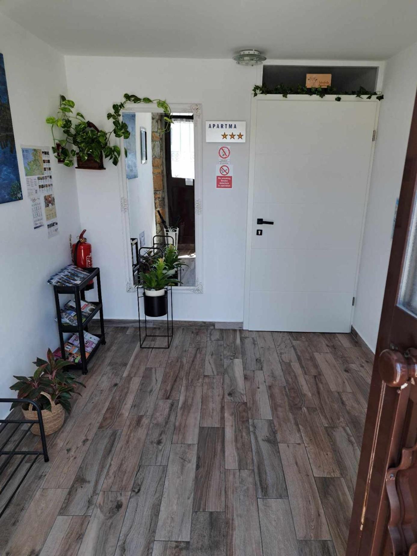 Istrabella Apartment كوبر المظهر الخارجي الصورة